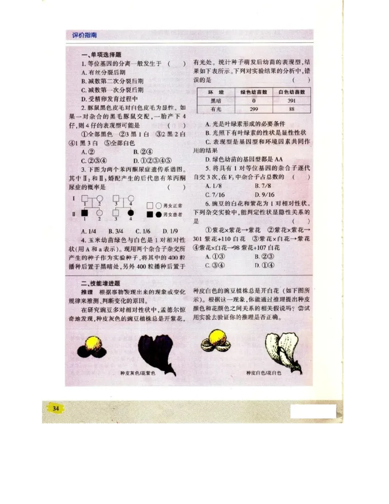 苏教版高中生物必修2《遗传与进化》电子课本_4-教培资料-26年最新资料-同步更新_初中高中教资_03科三专项（进去保存报考的学科即可）_112025高中科目（全）电子教材