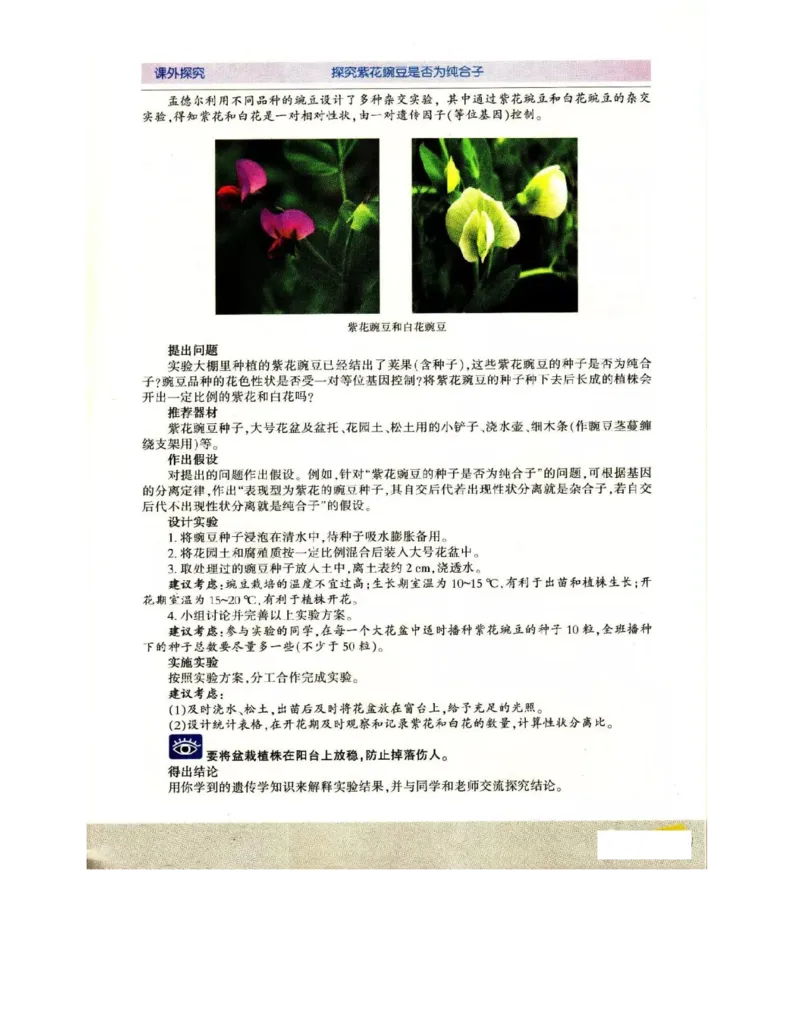 苏教版高中生物必修2《遗传与进化》电子课本_4-教培资料-26年最新资料-同步更新_初中高中教资_03科三专项（进去保存报考的学科即可）_112025高中科目（全）电子教材