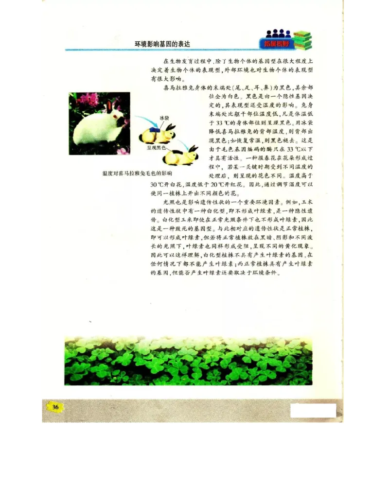 苏教版高中生物必修2《遗传与进化》电子课本_4-教培资料-26年最新资料-同步更新_初中高中教资_03科三专项（进去保存报考的学科即可）_112025高中科目（全）电子教材