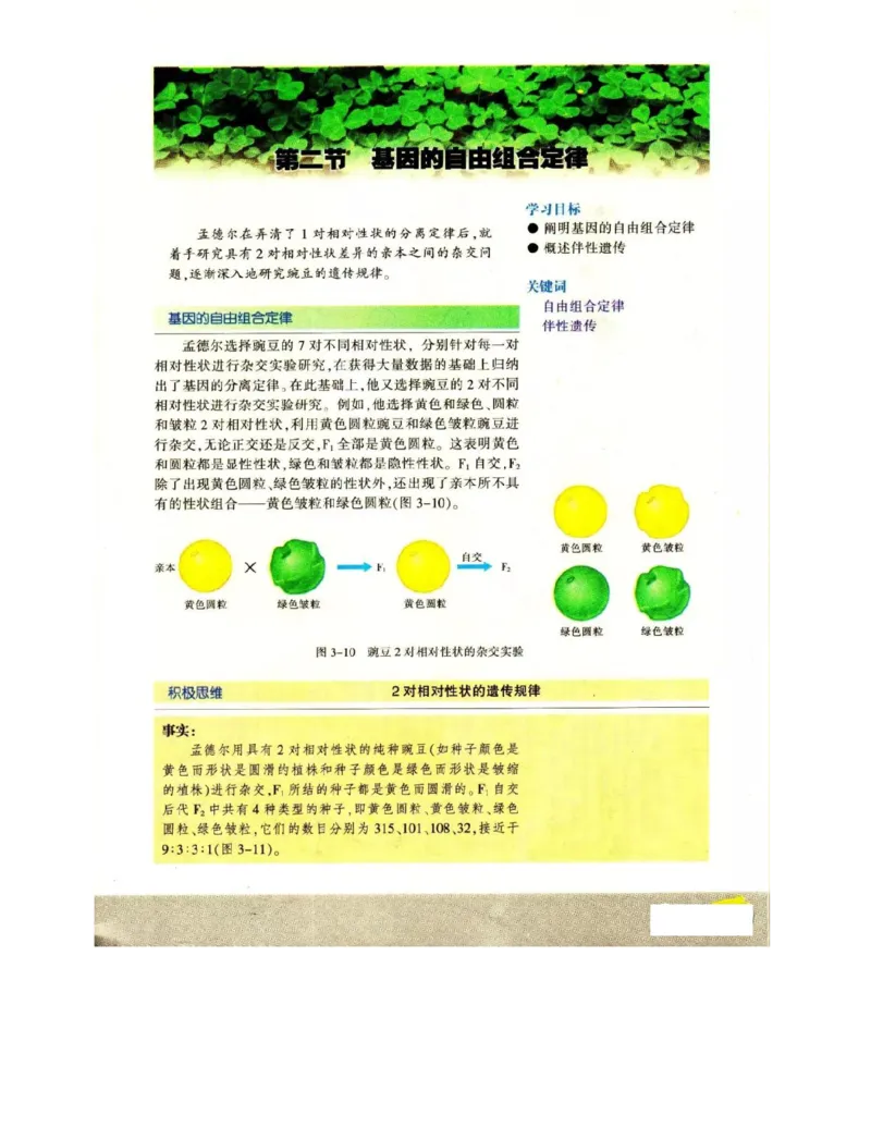 苏教版高中生物必修2《遗传与进化》电子课本_4-教培资料-26年最新资料-同步更新_初中高中教资_03科三专项（进去保存报考的学科即可）_112025高中科目（全）电子教材