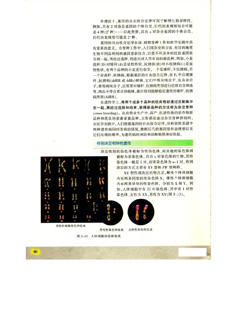 苏教版高中生物必修2《遗传与进化》电子课本_4-教培资料-26年最新资料-同步更新_初中高中教资_03科三专项（进去保存报考的学科即可）_112025高中科目（全）电子教材