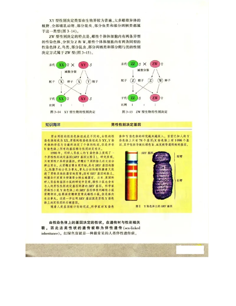 苏教版高中生物必修2《遗传与进化》电子课本_4-教培资料-26年最新资料-同步更新_初中高中教资_03科三专项（进去保存报考的学科即可）_112025高中科目（全）电子教材