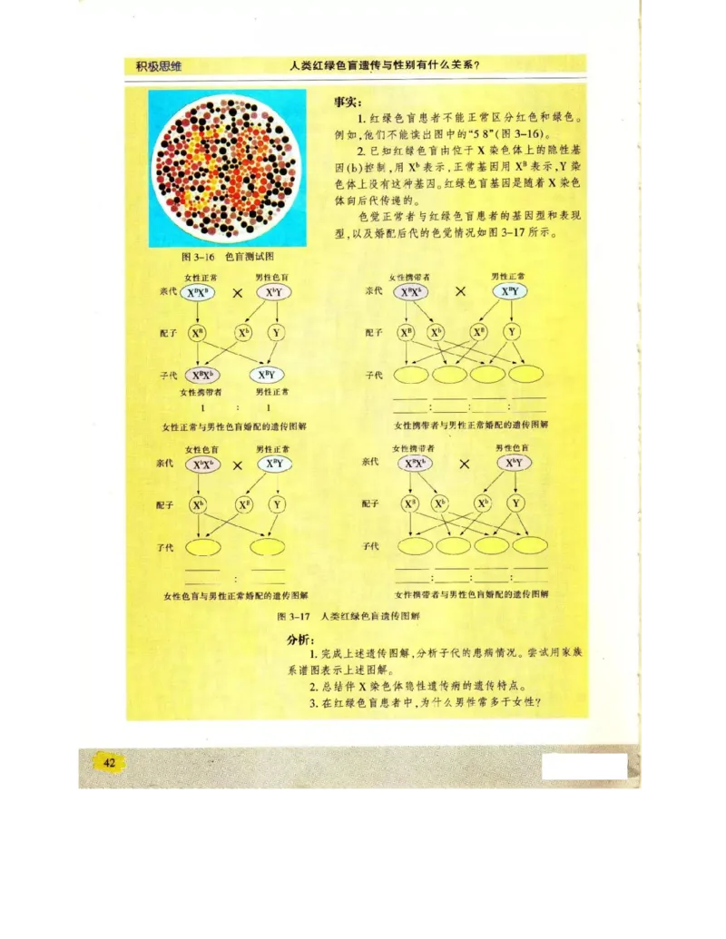 苏教版高中生物必修2《遗传与进化》电子课本_4-教培资料-26年最新资料-同步更新_初中高中教资_03科三专项（进去保存报考的学科即可）_112025高中科目（全）电子教材
