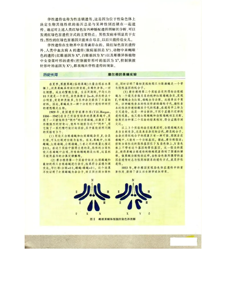 苏教版高中生物必修2《遗传与进化》电子课本_4-教培资料-26年最新资料-同步更新_初中高中教资_03科三专项（进去保存报考的学科即可）_112025高中科目（全）电子教材