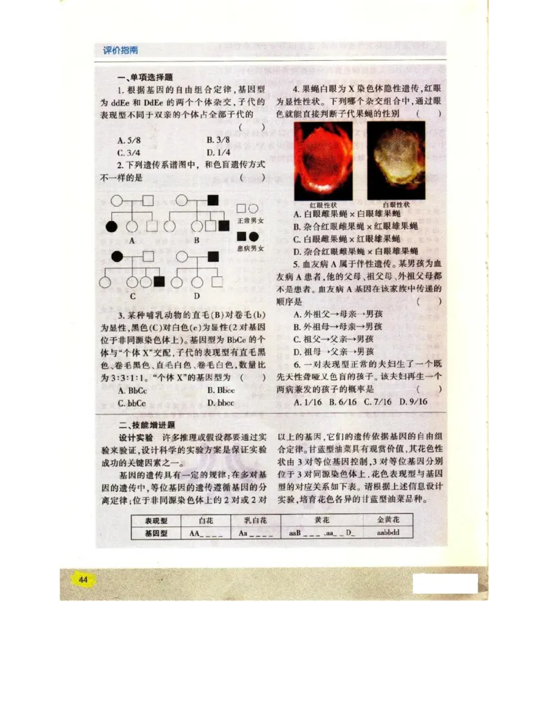 苏教版高中生物必修2《遗传与进化》电子课本_4-教培资料-26年最新资料-同步更新_初中高中教资_03科三专项（进去保存报考的学科即可）_112025高中科目（全）电子教材