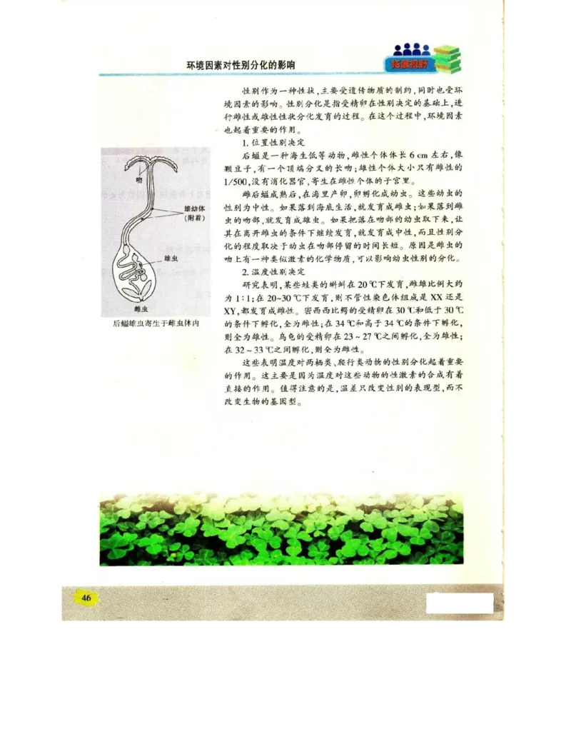 苏教版高中生物必修2《遗传与进化》电子课本_4-教培资料-26年最新资料-同步更新_初中高中教资_03科三专项（进去保存报考的学科即可）_112025高中科目（全）电子教材
