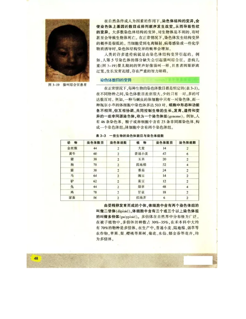 苏教版高中生物必修2《遗传与进化》电子课本_4-教培资料-26年最新资料-同步更新_初中高中教资_03科三专项（进去保存报考的学科即可）_112025高中科目（全）电子教材