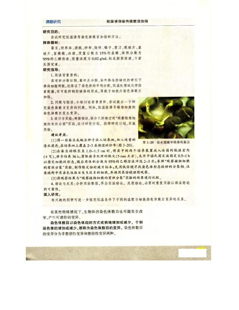 苏教版高中生物必修2《遗传与进化》电子课本_4-教培资料-26年最新资料-同步更新_初中高中教资_03科三专项（进去保存报考的学科即可）_112025高中科目（全）电子教材