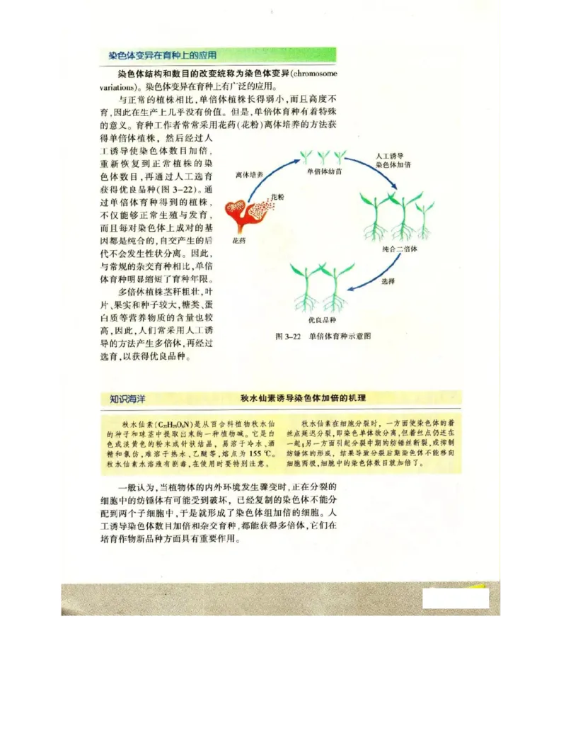 苏教版高中生物必修2《遗传与进化》电子课本_4-教培资料-26年最新资料-同步更新_初中高中教资_03科三专项（进去保存报考的学科即可）_112025高中科目（全）电子教材