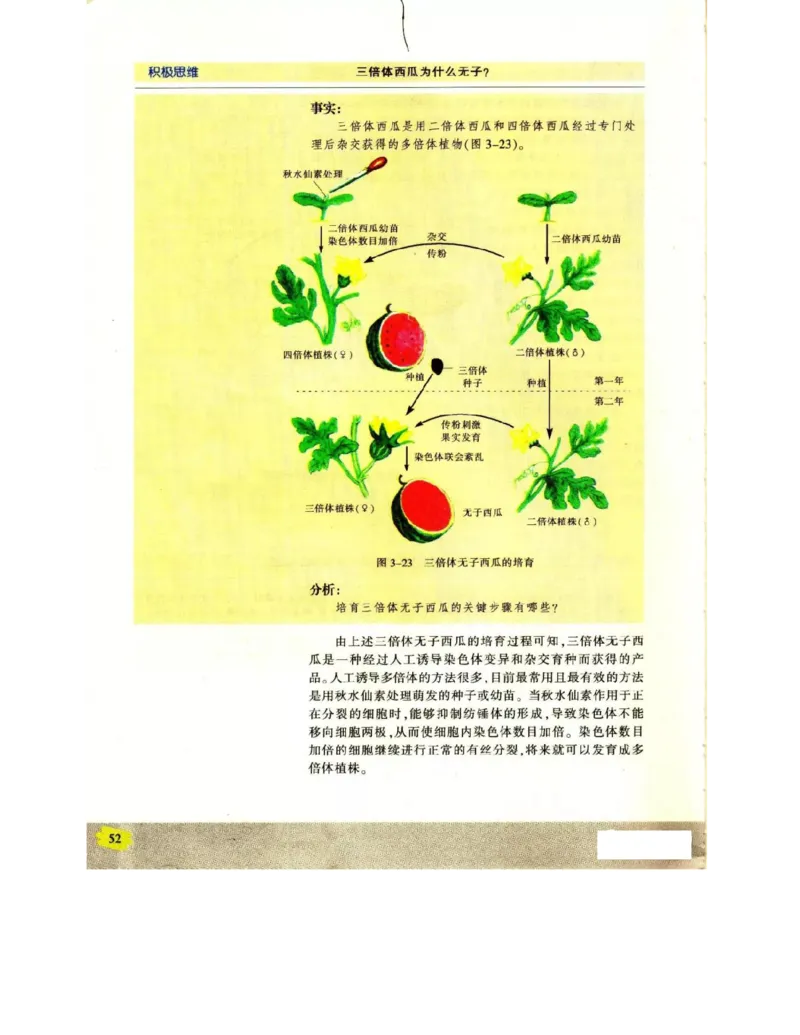 苏教版高中生物必修2《遗传与进化》电子课本_4-教培资料-26年最新资料-同步更新_初中高中教资_03科三专项（进去保存报考的学科即可）_112025高中科目（全）电子教材