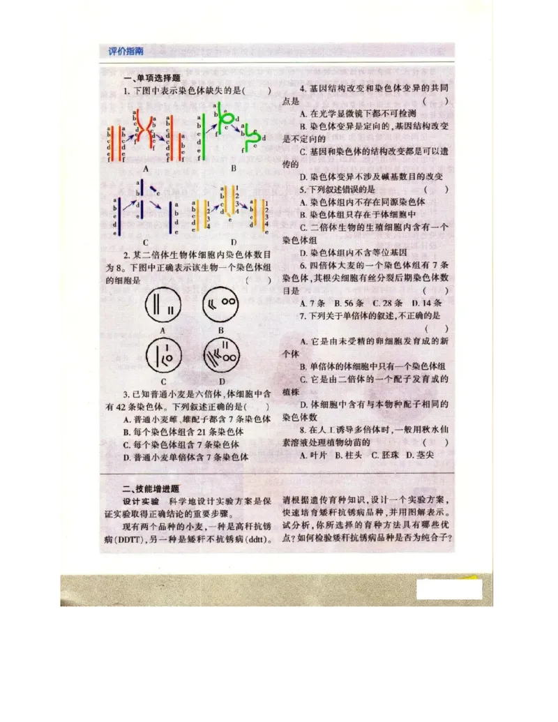 苏教版高中生物必修2《遗传与进化》电子课本_4-教培资料-26年最新资料-同步更新_初中高中教资_03科三专项（进去保存报考的学科即可）_112025高中科目（全）电子教材