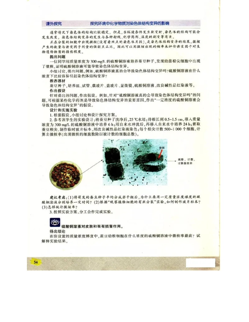 苏教版高中生物必修2《遗传与进化》电子课本_4-教培资料-26年最新资料-同步更新_初中高中教资_03科三专项（进去保存报考的学科即可）_112025高中科目（全）电子教材