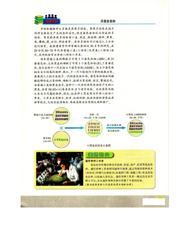 苏教版高中生物必修2《遗传与进化》电子课本_4-教培资料-26年最新资料-同步更新_初中高中教资_03科三专项（进去保存报考的学科即可）_112025高中科目（全）电子教材