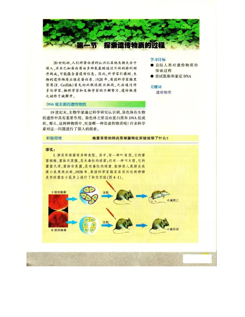 苏教版高中生物必修2《遗传与进化》电子课本_4-教培资料-26年最新资料-同步更新_初中高中教资_03科三专项（进去保存报考的学科即可）_112025高中科目（全）电子教材