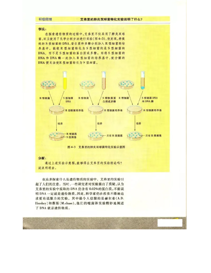 苏教版高中生物必修2《遗传与进化》电子课本_4-教培资料-26年最新资料-同步更新_初中高中教资_03科三专项（进去保存报考的学科即可）_112025高中科目（全）电子教材