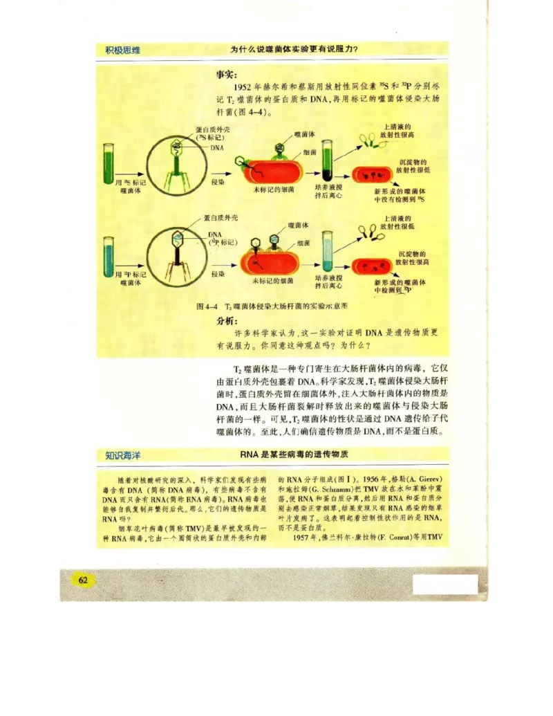 苏教版高中生物必修2《遗传与进化》电子课本_4-教培资料-26年最新资料-同步更新_初中高中教资_03科三专项（进去保存报考的学科即可）_112025高中科目（全）电子教材