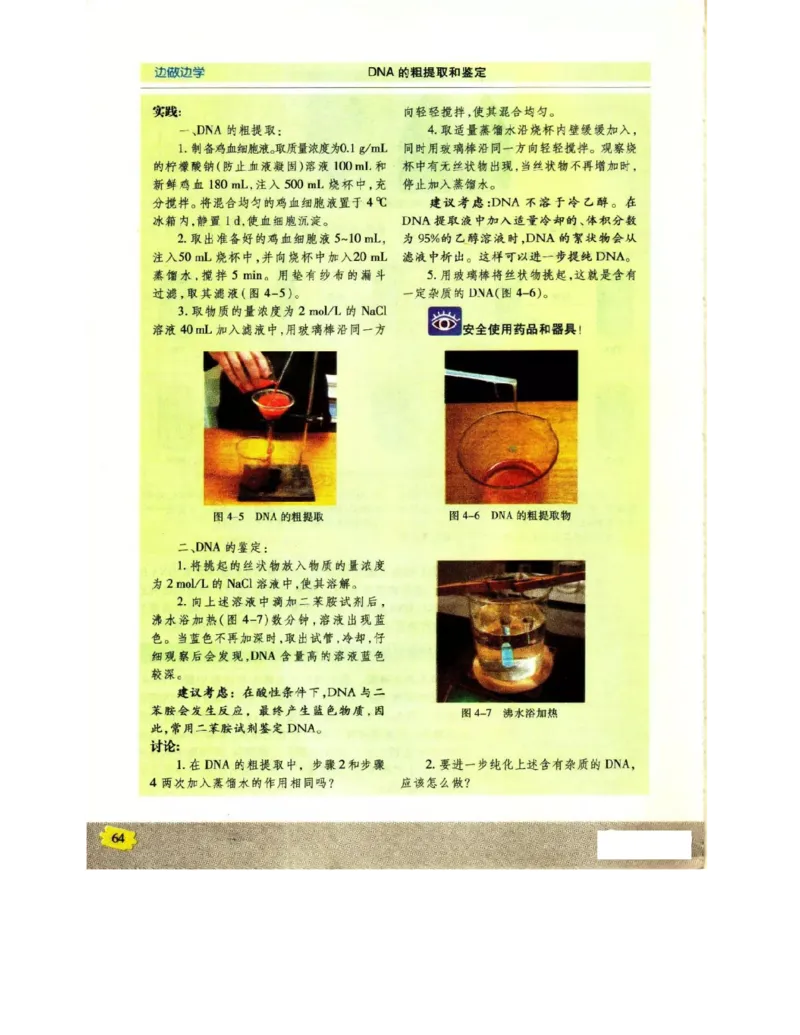 苏教版高中生物必修2《遗传与进化》电子课本_4-教培资料-26年最新资料-同步更新_初中高中教资_03科三专项（进去保存报考的学科即可）_112025高中科目（全）电子教材