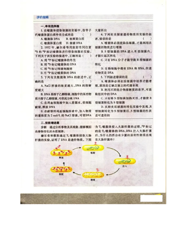苏教版高中生物必修2《遗传与进化》电子课本_4-教培资料-26年最新资料-同步更新_初中高中教资_03科三专项（进去保存报考的学科即可）_112025高中科目（全）电子教材
