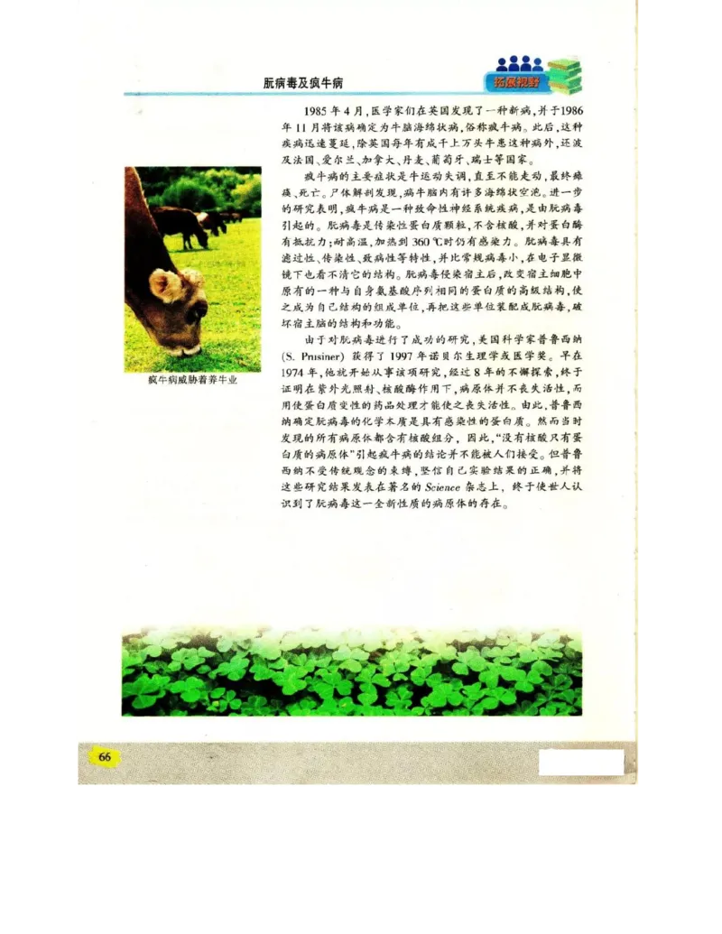苏教版高中生物必修2《遗传与进化》电子课本_4-教培资料-26年最新资料-同步更新_初中高中教资_03科三专项（进去保存报考的学科即可）_112025高中科目（全）电子教材
