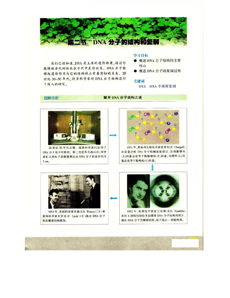 苏教版高中生物必修2《遗传与进化》电子课本_4-教培资料-26年最新资料-同步更新_初中高中教资_03科三专项（进去保存报考的学科即可）_112025高中科目（全）电子教材