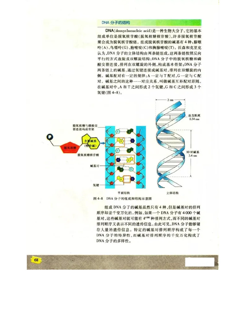 苏教版高中生物必修2《遗传与进化》电子课本_4-教培资料-26年最新资料-同步更新_初中高中教资_03科三专项（进去保存报考的学科即可）_112025高中科目（全）电子教材