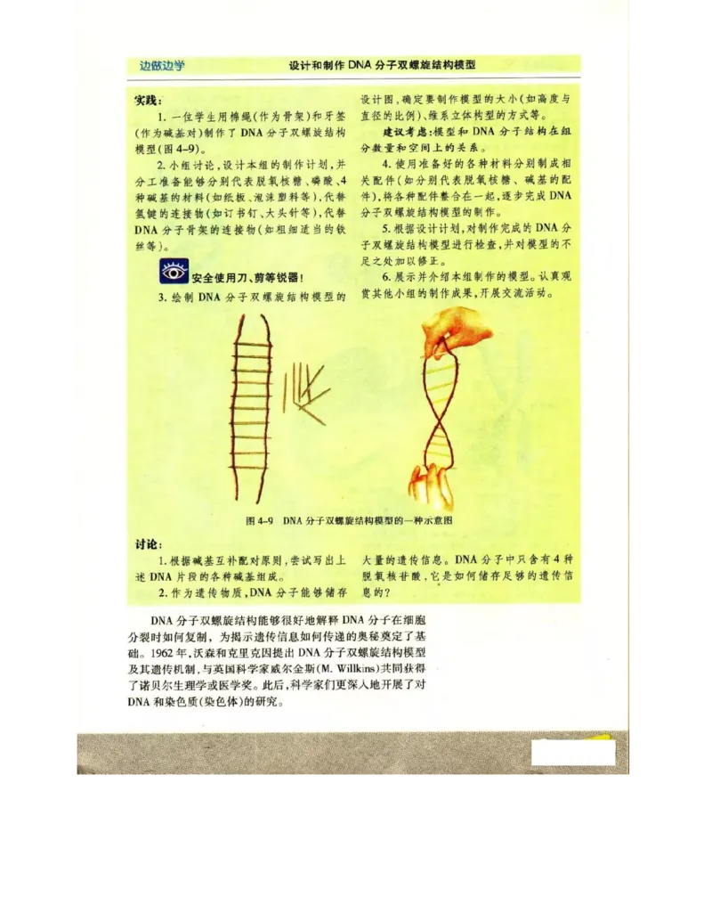 苏教版高中生物必修2《遗传与进化》电子课本_4-教培资料-26年最新资料-同步更新_初中高中教资_03科三专项（进去保存报考的学科即可）_112025高中科目（全）电子教材