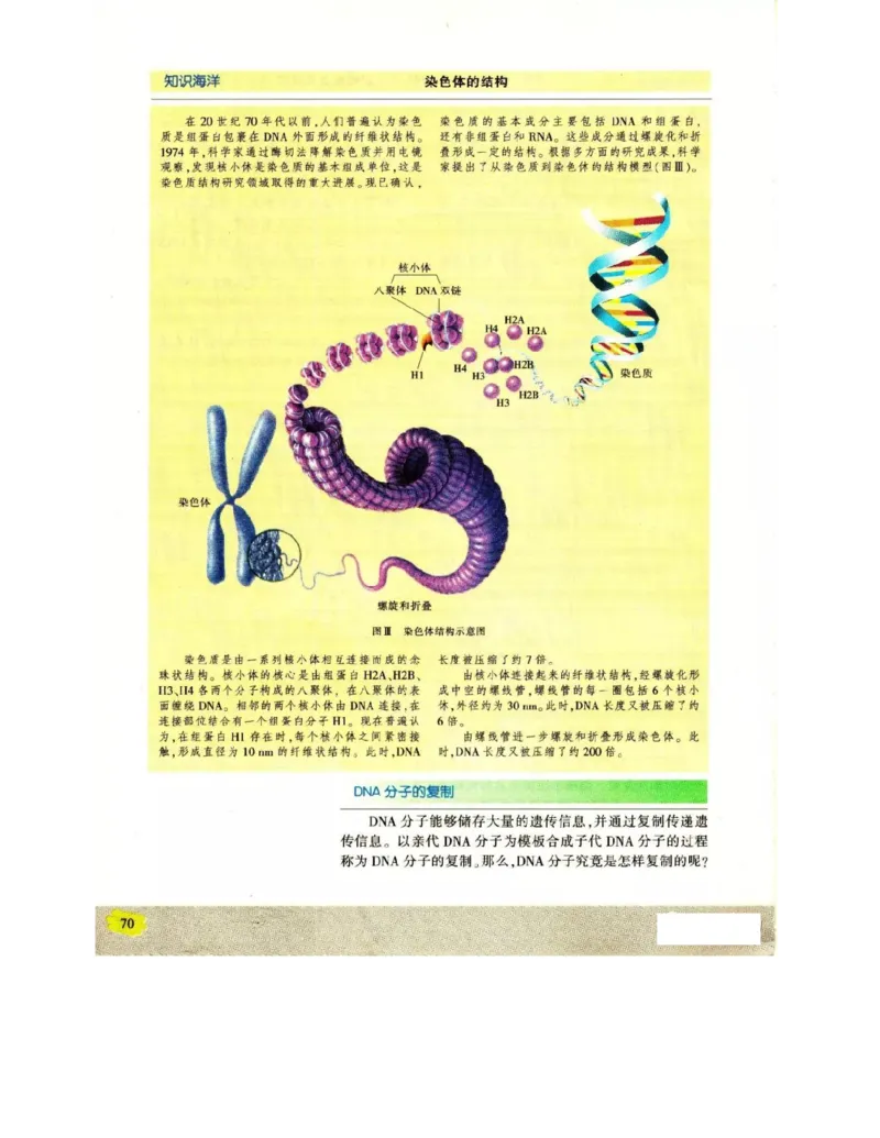 苏教版高中生物必修2《遗传与进化》电子课本_4-教培资料-26年最新资料-同步更新_初中高中教资_03科三专项（进去保存报考的学科即可）_112025高中科目（全）电子教材