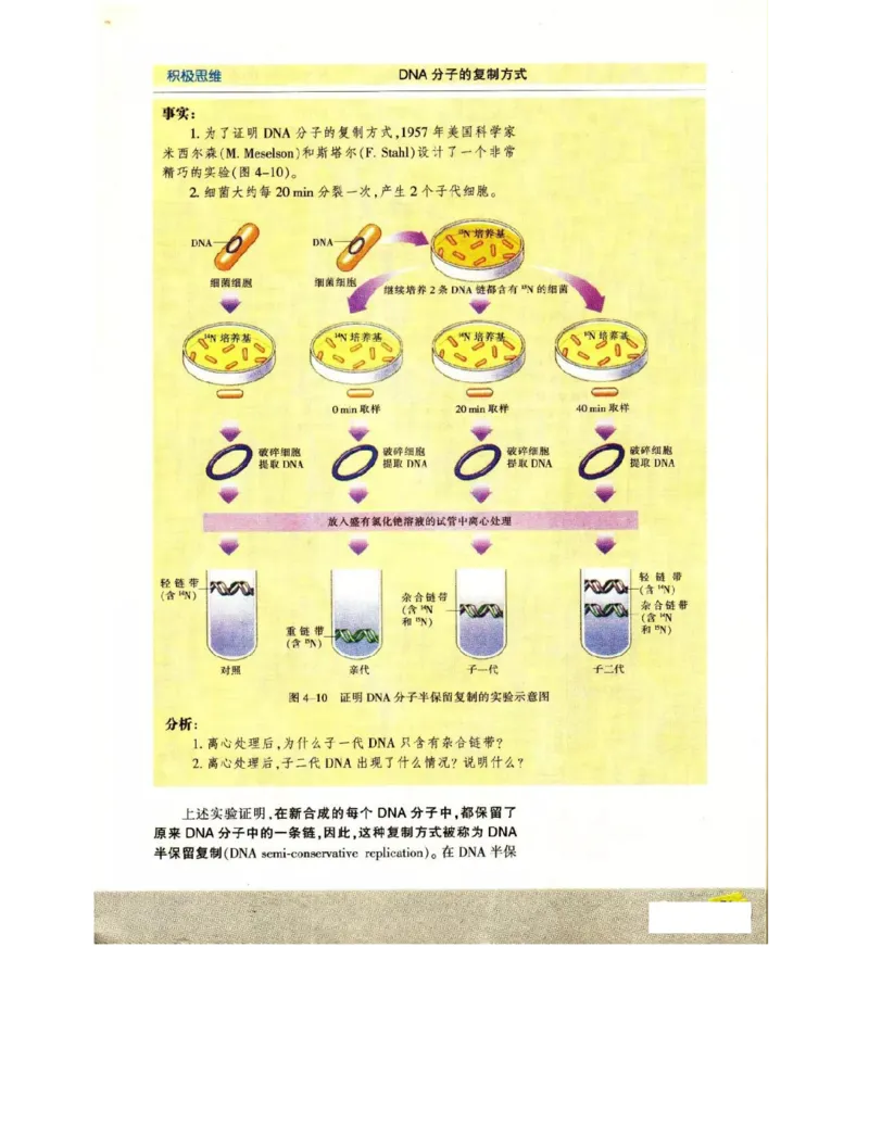 苏教版高中生物必修2《遗传与进化》电子课本_4-教培资料-26年最新资料-同步更新_初中高中教资_03科三专项（进去保存报考的学科即可）_112025高中科目（全）电子教材