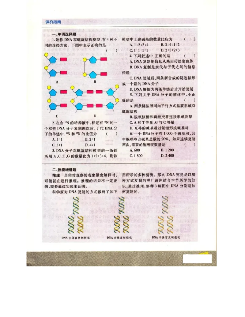苏教版高中生物必修2《遗传与进化》电子课本_4-教培资料-26年最新资料-同步更新_初中高中教资_03科三专项（进去保存报考的学科即可）_112025高中科目（全）电子教材