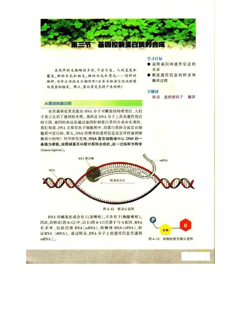 苏教版高中生物必修2《遗传与进化》电子课本_4-教培资料-26年最新资料-同步更新_初中高中教资_03科三专项（进去保存报考的学科即可）_112025高中科目（全）电子教材