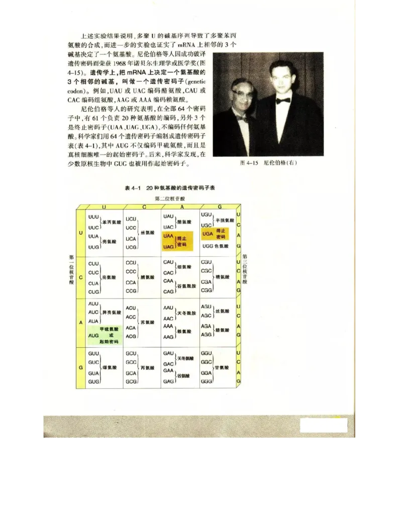 苏教版高中生物必修2《遗传与进化》电子课本_4-教培资料-26年最新资料-同步更新_初中高中教资_03科三专项（进去保存报考的学科即可）_112025高中科目（全）电子教材