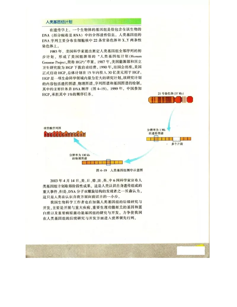 苏教版高中生物必修2《遗传与进化》电子课本_4-教培资料-26年最新资料-同步更新_初中高中教资_03科三专项（进去保存报考的学科即可）_112025高中科目（全）电子教材