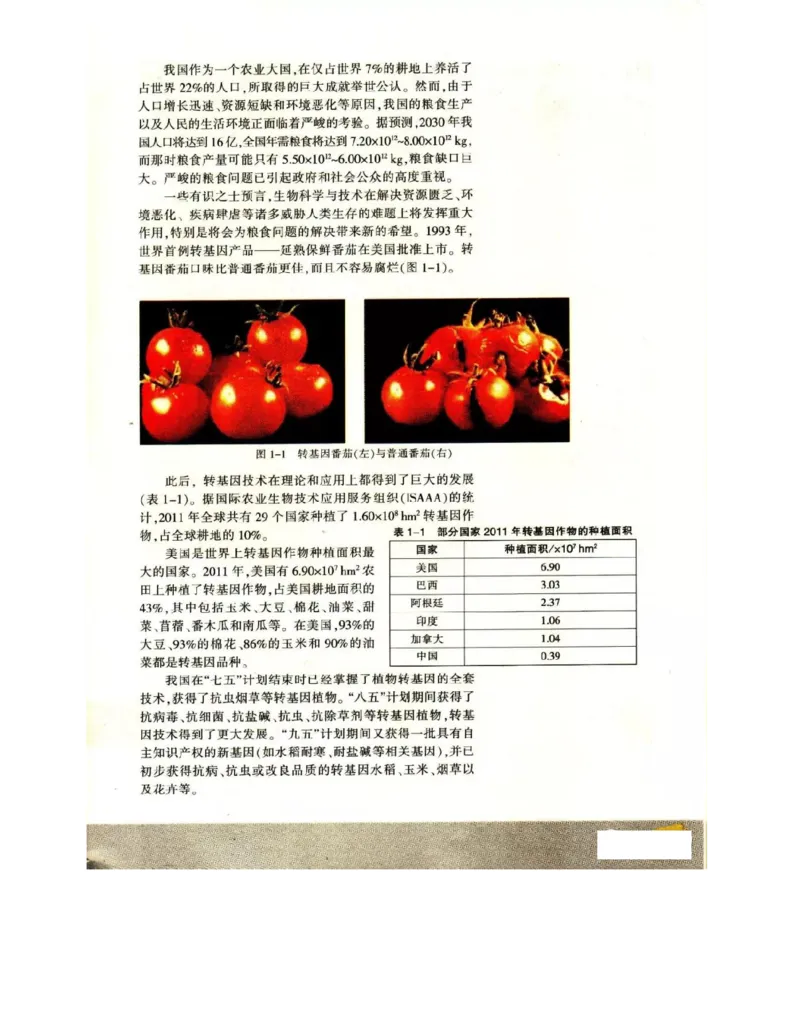 苏教版高中生物必修2《遗传与进化》电子课本_4-教培资料-26年最新资料-同步更新_初中高中教资_03科三专项（进去保存报考的学科即可）_112025高中科目（全）电子教材