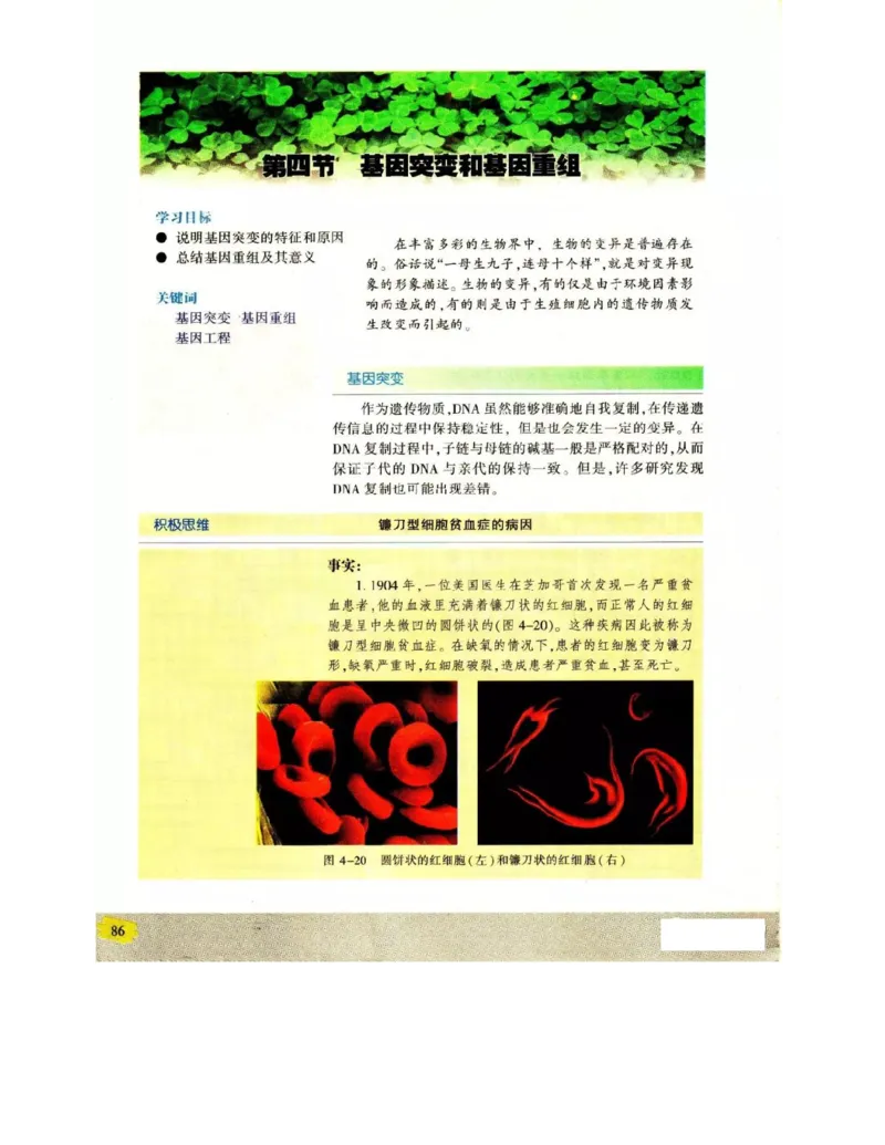 苏教版高中生物必修2《遗传与进化》电子课本_4-教培资料-26年最新资料-同步更新_初中高中教资_03科三专项（进去保存报考的学科即可）_112025高中科目（全）电子教材