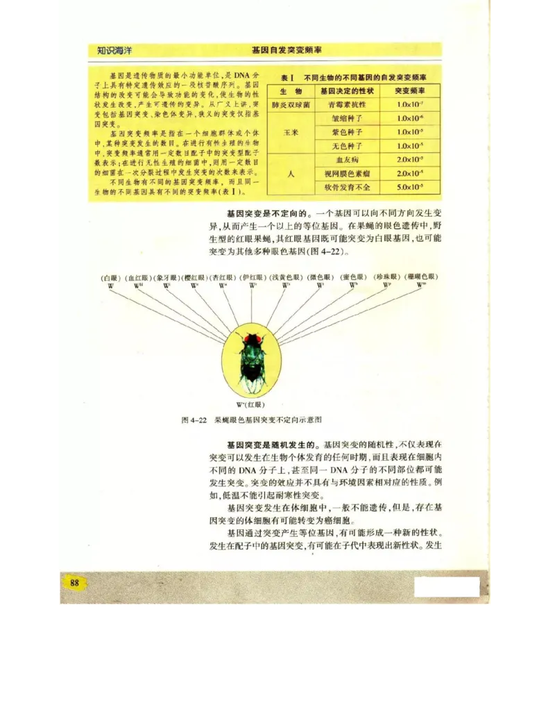 苏教版高中生物必修2《遗传与进化》电子课本_4-教培资料-26年最新资料-同步更新_初中高中教资_03科三专项（进去保存报考的学科即可）_112025高中科目（全）电子教材