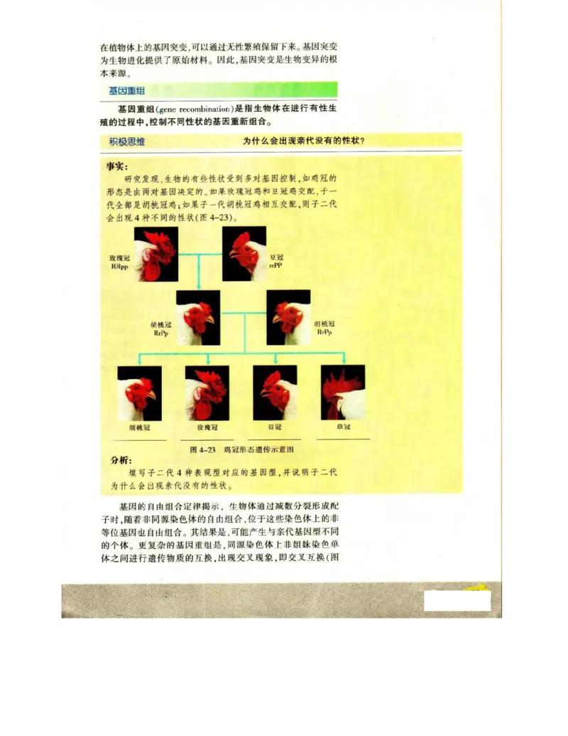 苏教版高中生物必修2《遗传与进化》电子课本_4-教培资料-26年最新资料-同步更新_初中高中教资_03科三专项（进去保存报考的学科即可）_112025高中科目（全）电子教材