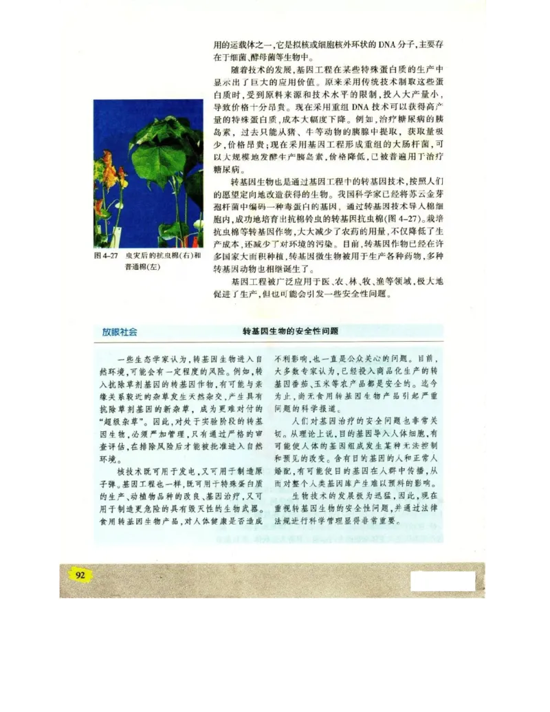 苏教版高中生物必修2《遗传与进化》电子课本_4-教培资料-26年最新资料-同步更新_初中高中教资_03科三专项（进去保存报考的学科即可）_112025高中科目（全）电子教材