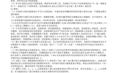 龙东高三生物学12月模拟试卷答案及解析成稿_2025年12月_251211黑龙江省龙东十校联盟2026届高三上学期12月月考（全科）