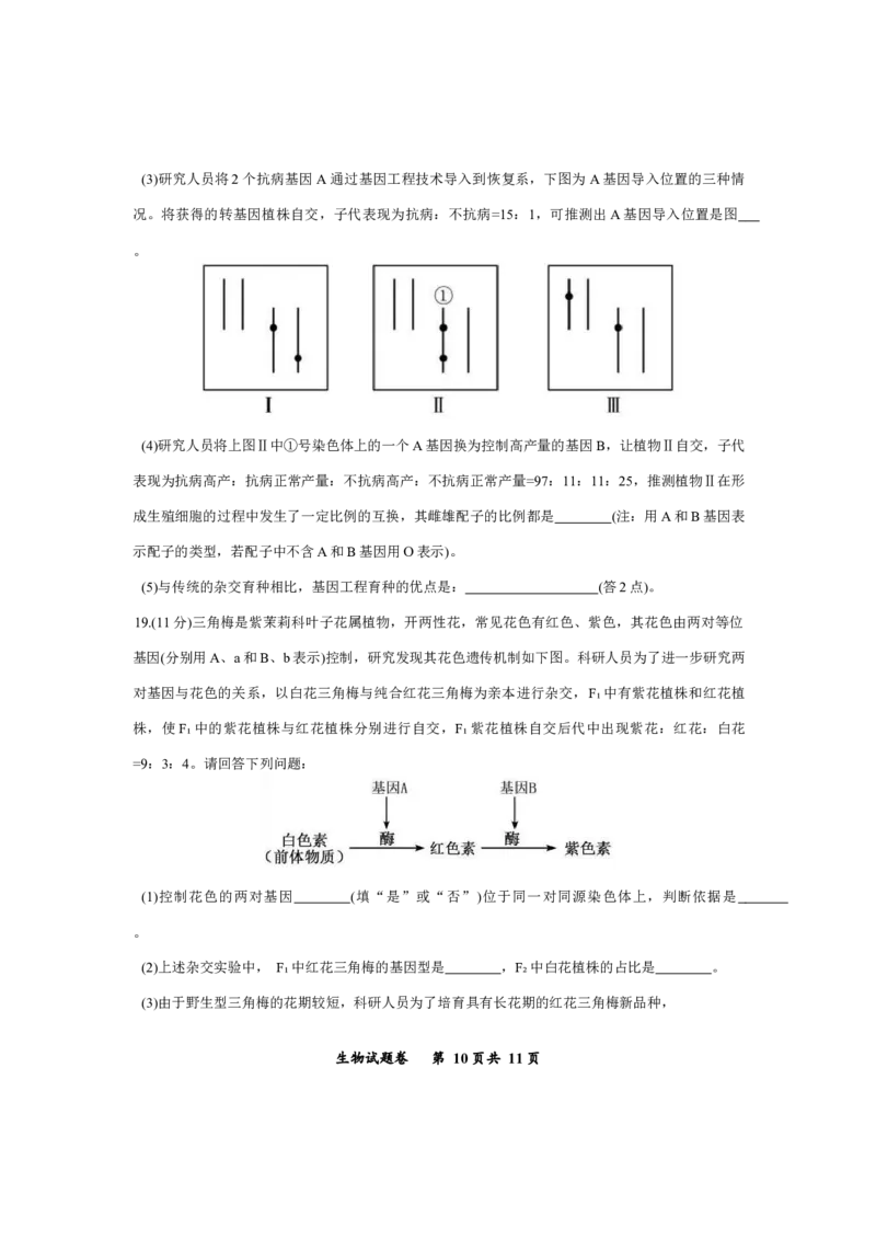 重庆市鲁能巴蜀中学2025-2026学年高三上学期12月月考生物试题_2025年12月_251213重庆市鲁能巴蜀中学、万州中学高2026届高三上学期12月联合诊断考试