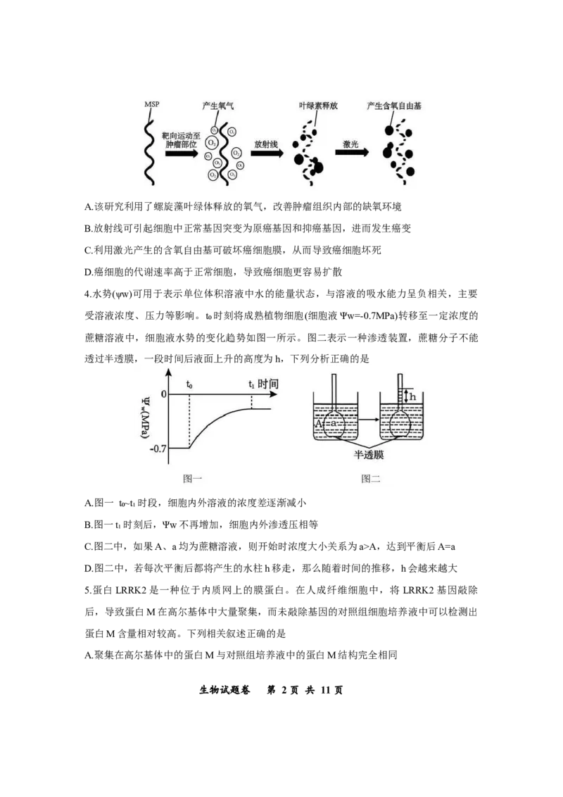 重庆市鲁能巴蜀中学2025-2026学年高三上学期12月月考生物试题_2025年12月_251213重庆市鲁能巴蜀中学、万州中学高2026届高三上学期12月联合诊断考试