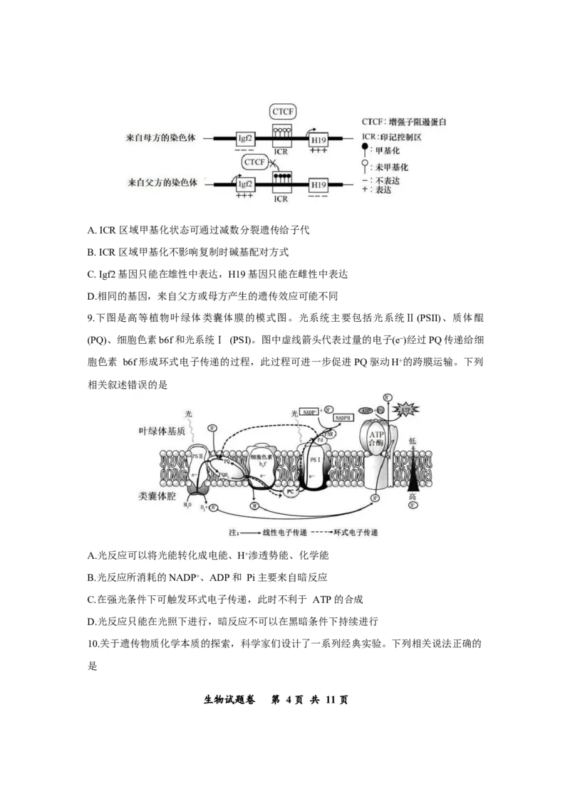 重庆市鲁能巴蜀中学2025-2026学年高三上学期12月月考生物试题_2025年12月_251213重庆市鲁能巴蜀中学、万州中学高2026届高三上学期12月联合诊断考试