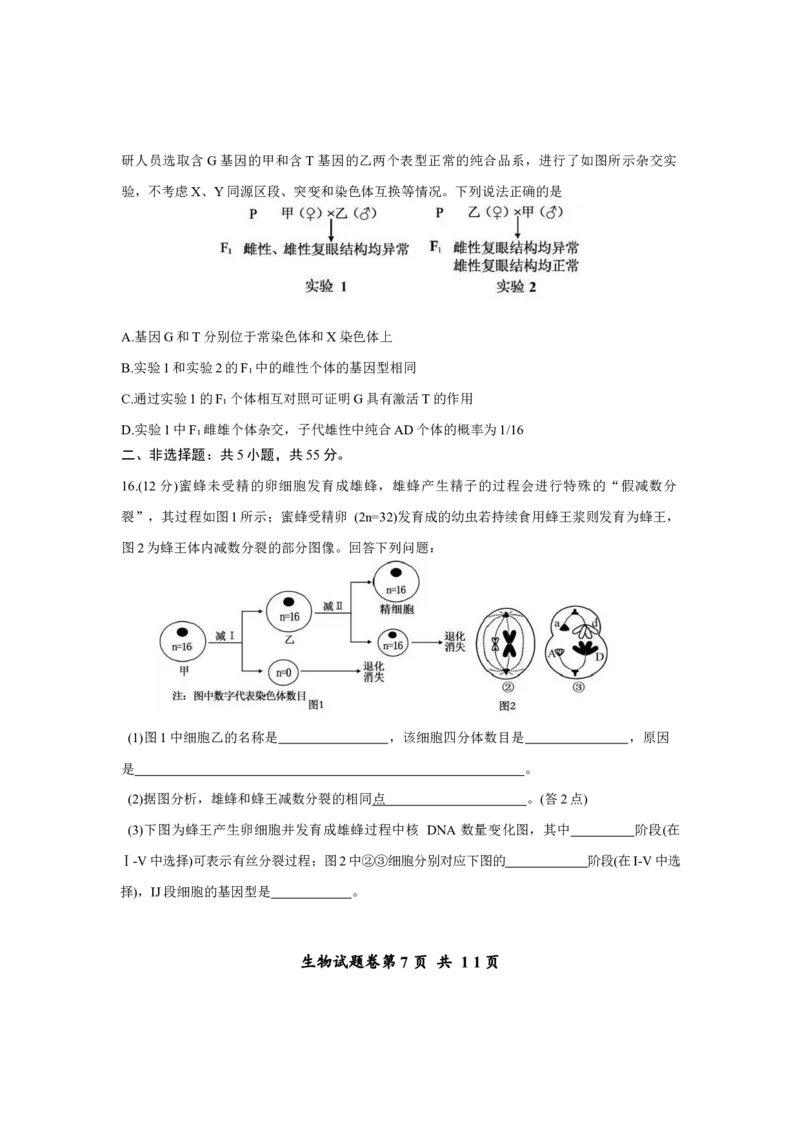 重庆市鲁能巴蜀中学2025-2026学年高三上学期12月月考生物试题_2025年12月_251213重庆市鲁能巴蜀中学、万州中学高2026届高三上学期12月联合诊断考试