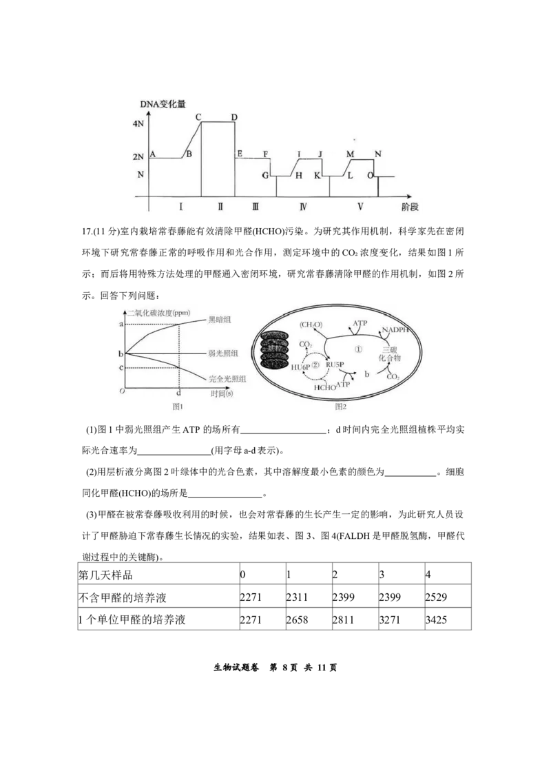 重庆市鲁能巴蜀中学2025-2026学年高三上学期12月月考生物试题_2025年12月_251213重庆市鲁能巴蜀中学、万州中学高2026届高三上学期12月联合诊断考试