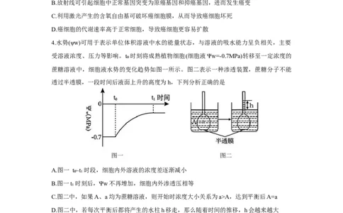 重庆市鲁能巴蜀中学2025-2026学年高三上学期12月月考生物试题_2025年12月_251213重庆市鲁能巴蜀中学、万州中学高2026届高三上学期12月联合诊断考试