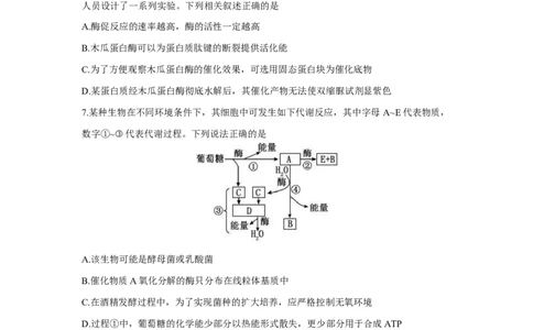 重庆市鲁能巴蜀中学2025-2026学年高三上学期12月月考生物试题_2025年12月_251213重庆市鲁能巴蜀中学、万州中学高2026届高三上学期12月联合诊断考试