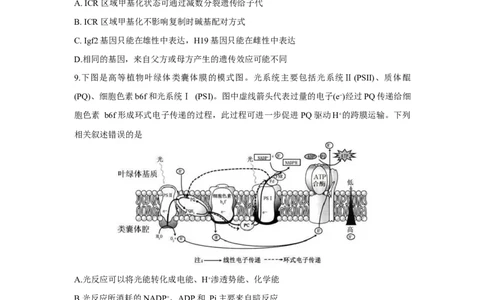 重庆市鲁能巴蜀中学2025-2026学年高三上学期12月月考生物试题_2025年12月_251213重庆市鲁能巴蜀中学、万州中学高2026届高三上学期12月联合诊断考试
