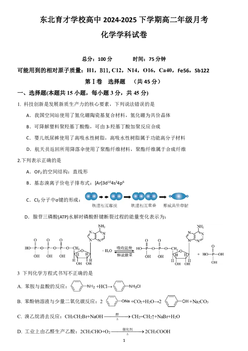 辽宁省沈阳市东北育才学校2024-2025学年高二下学期第二次月考试题化学PDF版含答案_2025年7月_250708辽宁省沈阳市东北育才学校2024-2025学年高二下学期第二次月考
