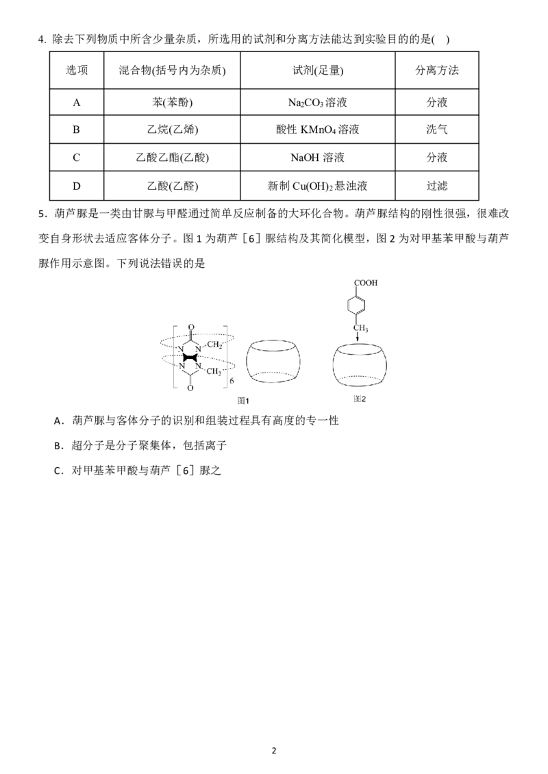 辽宁省沈阳市东北育才学校2024-2025学年高二下学期第二次月考试题化学PDF版含答案_2025年7月_250708辽宁省沈阳市东北育才学校2024-2025学年高二下学期第二次月考