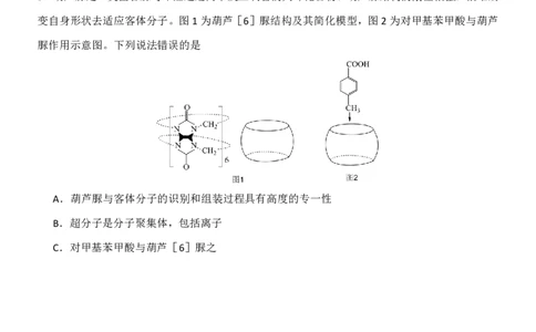辽宁省沈阳市东北育才学校2024-2025学年高二下学期第二次月考试题化学PDF版含答案_2025年7月_250708辽宁省沈阳市东北育才学校2024-2025学年高二下学期第二次月考