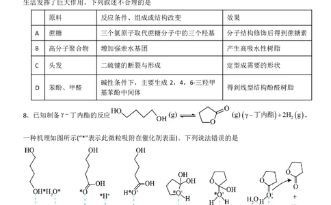 辽宁省沈阳市东北育才学校2024-2025学年高二下学期第二次月考试题化学PDF版含答案_2025年7月_250708辽宁省沈阳市东北育才学校2024-2025学年高二下学期第二次月考